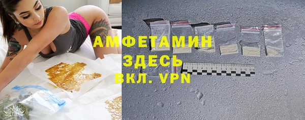 spice Богородицк