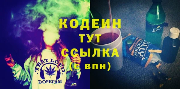 spice Богородицк