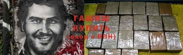 spice Богородицк